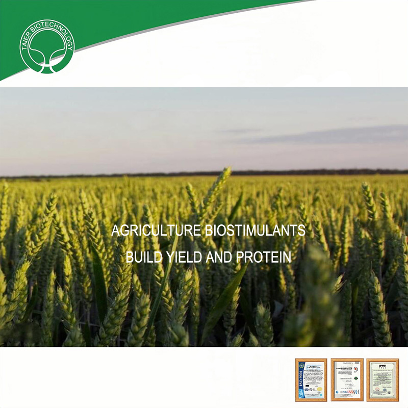 13-0-0 Water Soluble Amino Acid Powder Organic Fertilizer From Soy for Agriculture