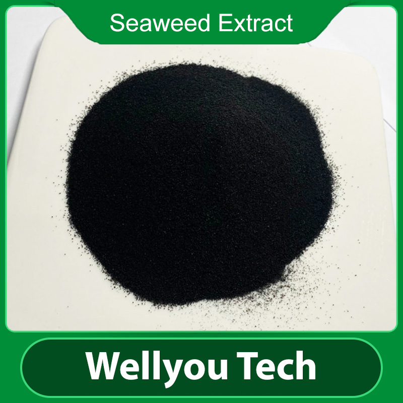Organic Fertilizer Seaweed Extract Liquid, Foliar Fertilizer Wellyou Tech