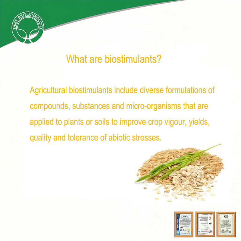 Amino Acid Powder with Organic Iron for Industrial Formulation Natural Origin Biostimulant Fertilizer MOQ 100kg Organic Fertilizer