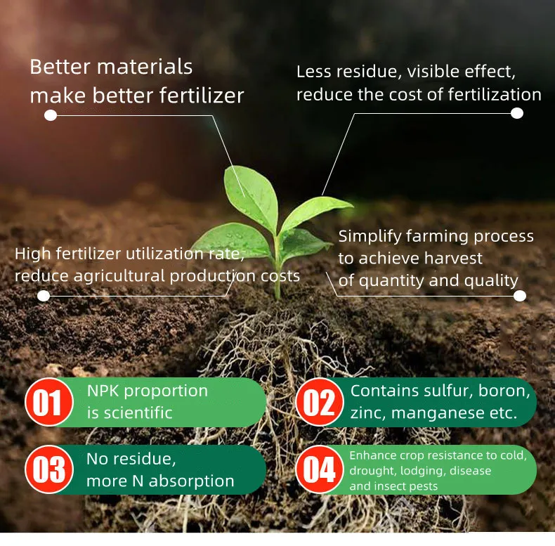 DAP Fertilizer Detail 8