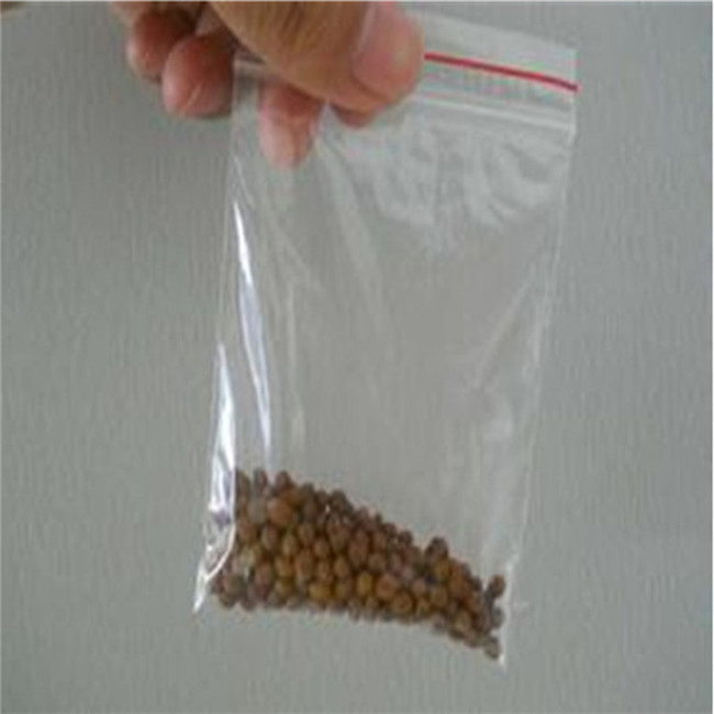 Slow Release NPK Fertilizer for Field Crop Base Fertilizer