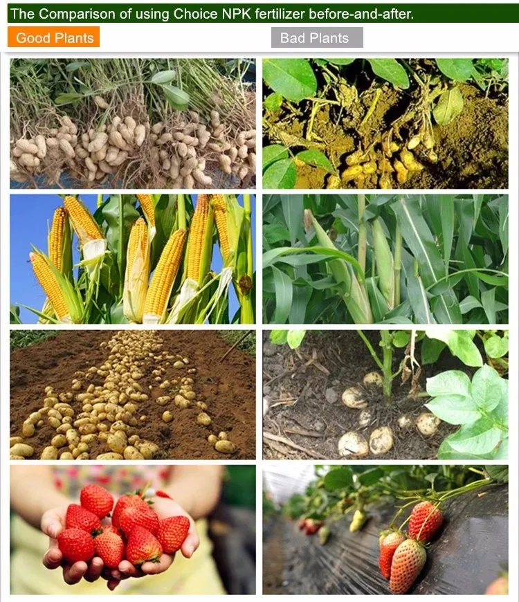 Specifications Diagram