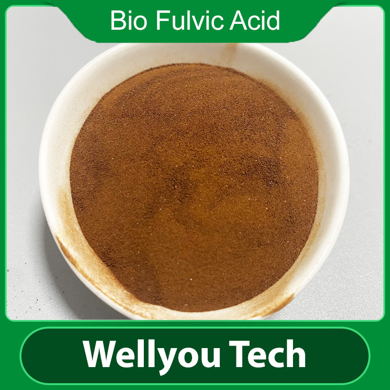 Organic Certificed Biostimulant Bio-Fulvic Acid Fertilizer From Wellyou Tech