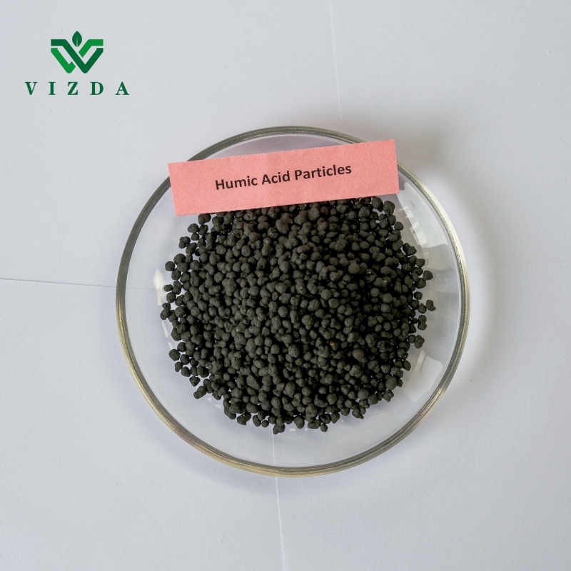 Sustainable Humic Acid Fertilizer for Healthy Plant Growth