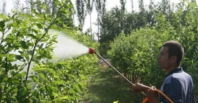 Pesticide Efficacy