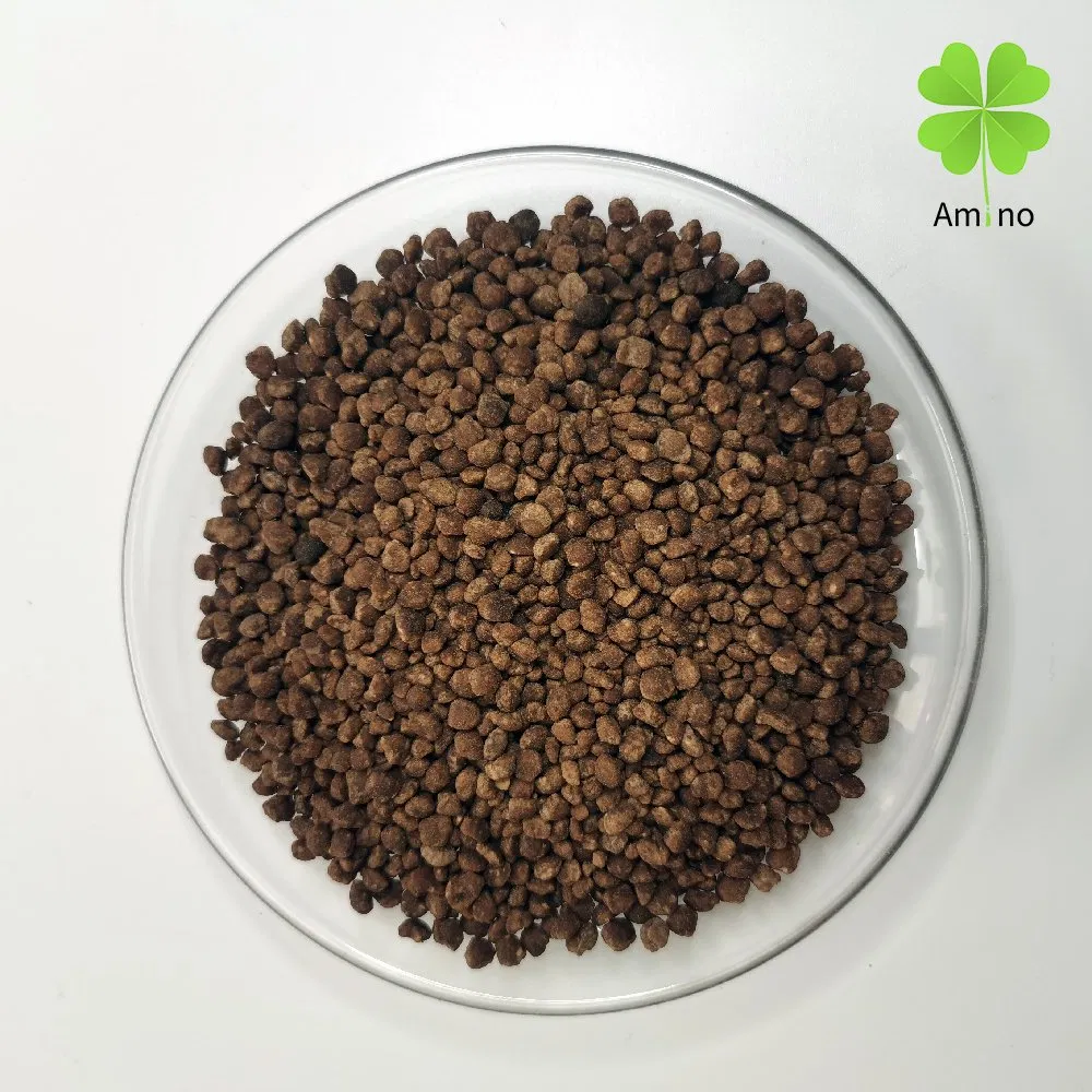 Amino Organic and Inorganic Compound Fertilizer with NPK 19-0-1 for Fruits/Vegetables/Crops