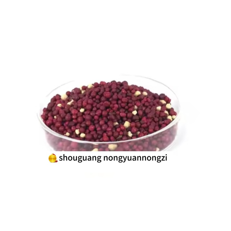 NPK Granular Fertilizer Factory Direct Sales Customize Proportion