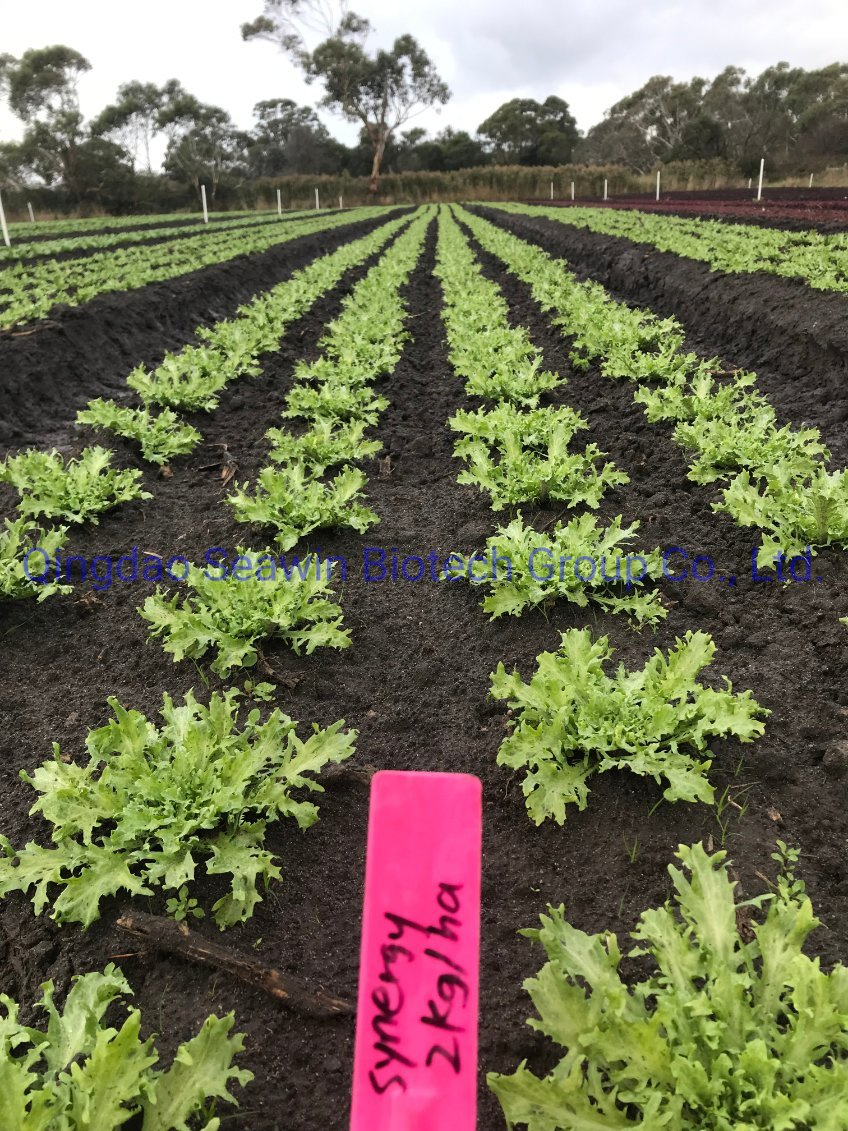 Seaweed Fertilizer Micro Graunlarplantharvest- Cereal Crop Fertilizer Together with Pesticides-Stress Resistance