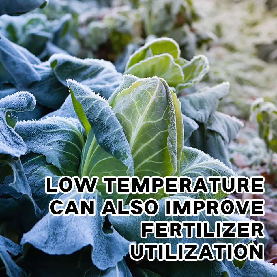 NPK Fertilizer Specification