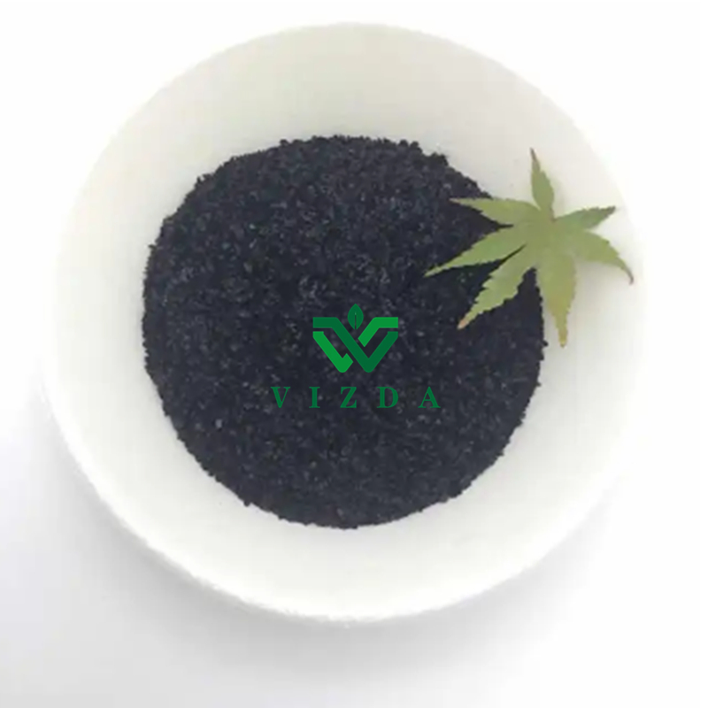 Organic Seaweed Extract Bio Fertilizer for Sustainable Agriculture