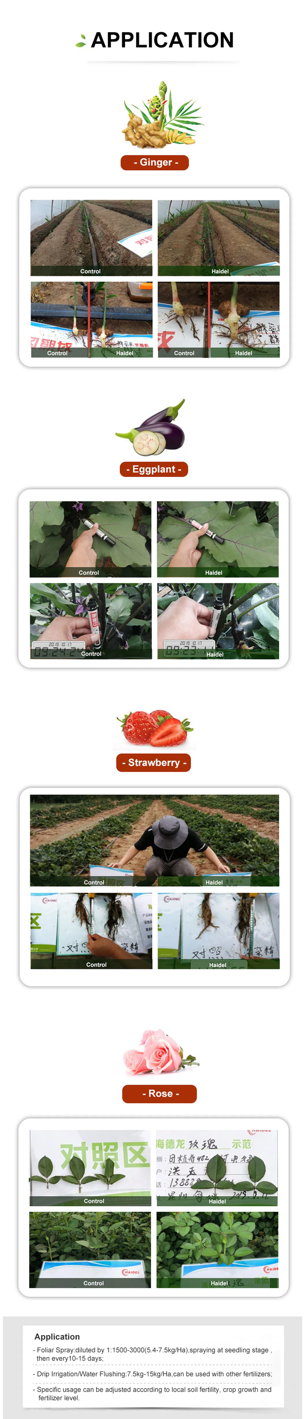 Bio Fertilizer Analysis