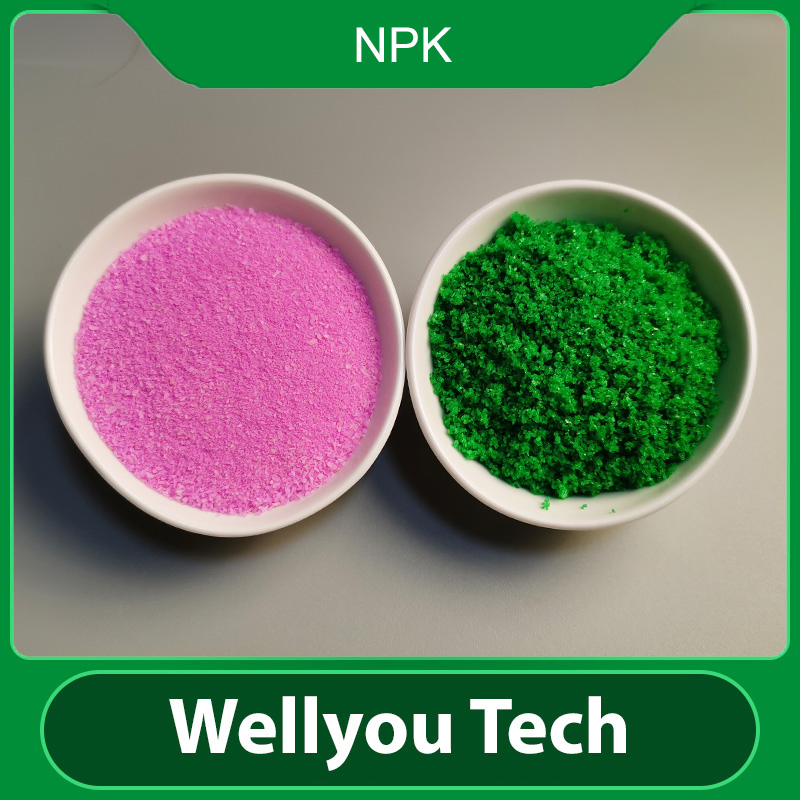 Foliar NPK Fertilizer, 100% Soluble Water Soluble Powder Fertilizer with NPK20-20-20/NPK19-19-19+Te