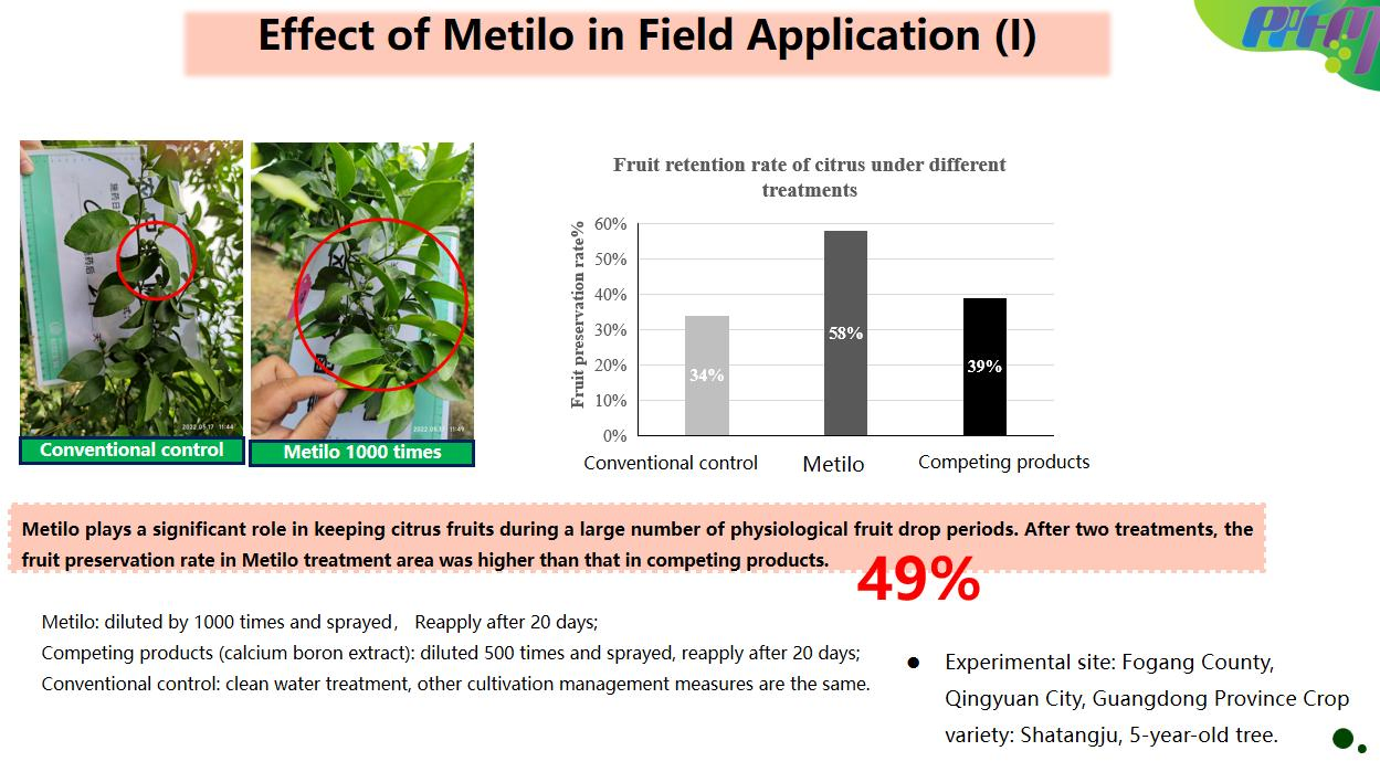 Nitrogen Fixing Bacteria Methylobacterium Liquid Foliar Fertilizer for Plant and Vegetable Biostimulant Growth Stimulant