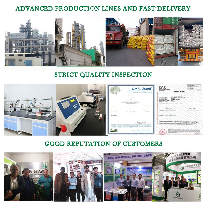 Powder Fertiliser NPK Foliar Fertilizer 8 20 30 Water Soluble Fertilizers