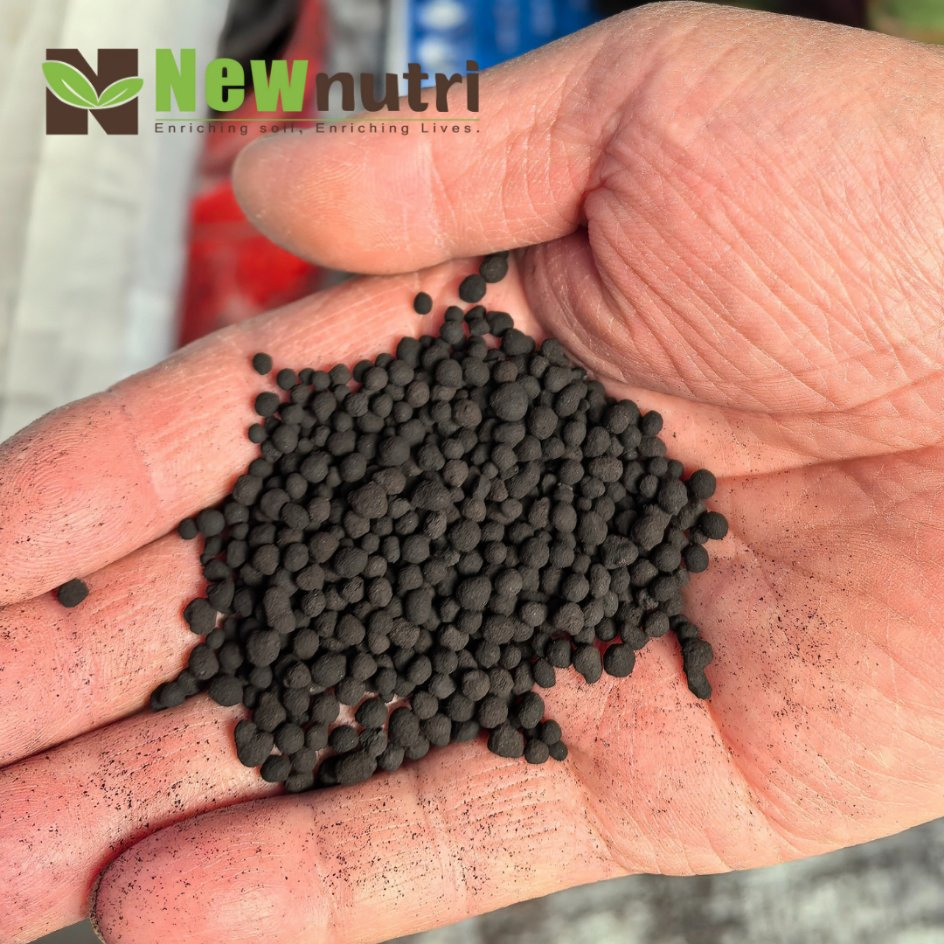 Humic Acid Ball/Granule Organic Granular Humate Fertilizer Bio Soil Conditioner From Leonardite