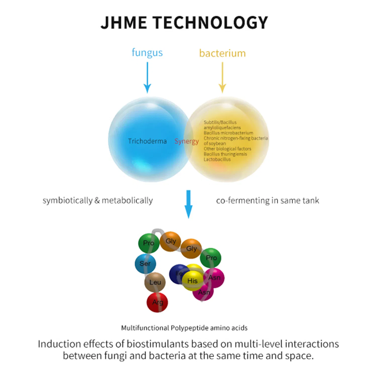 bio amino fertilizer increase crops nutrient and effect on anti-bacteria and disease resistance