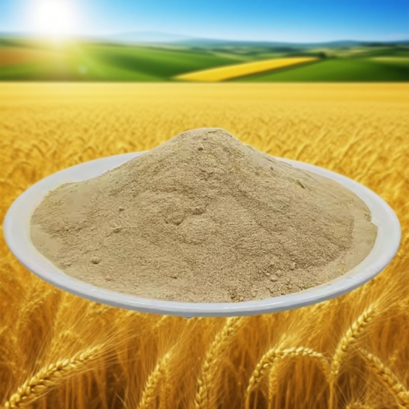 Organic Fertilizer Powder Acidic Amino Acid-Based Companion for Green Thumbs