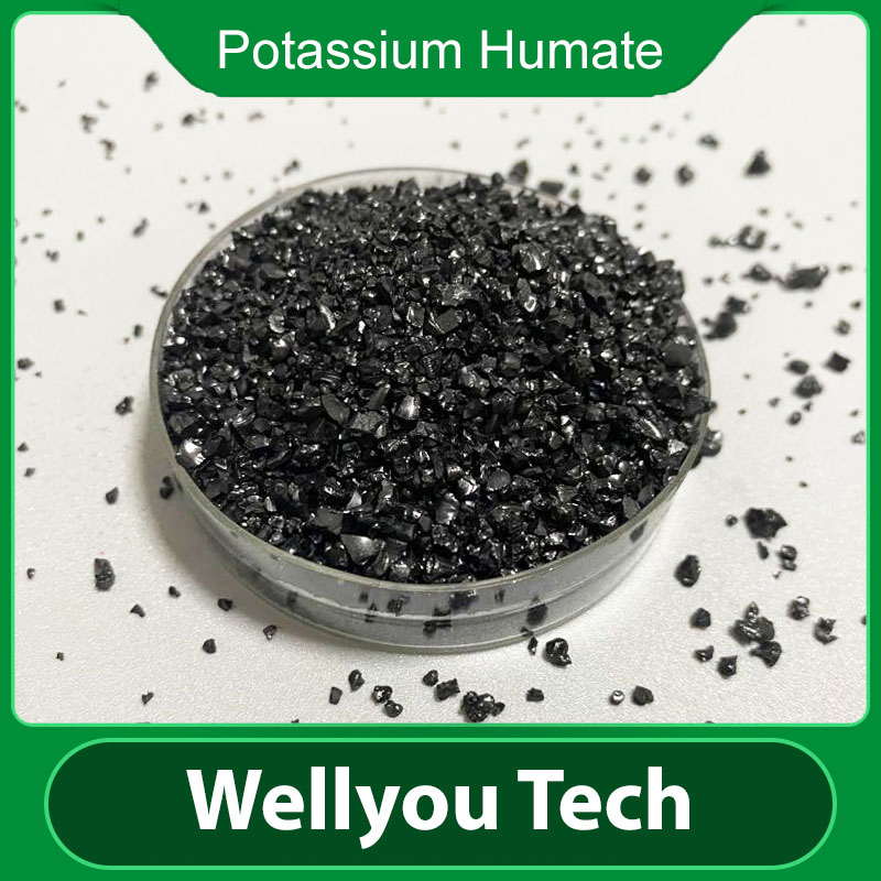 65% Humic Acid Fertilizer, Potassium Humate Organic Fertilizer