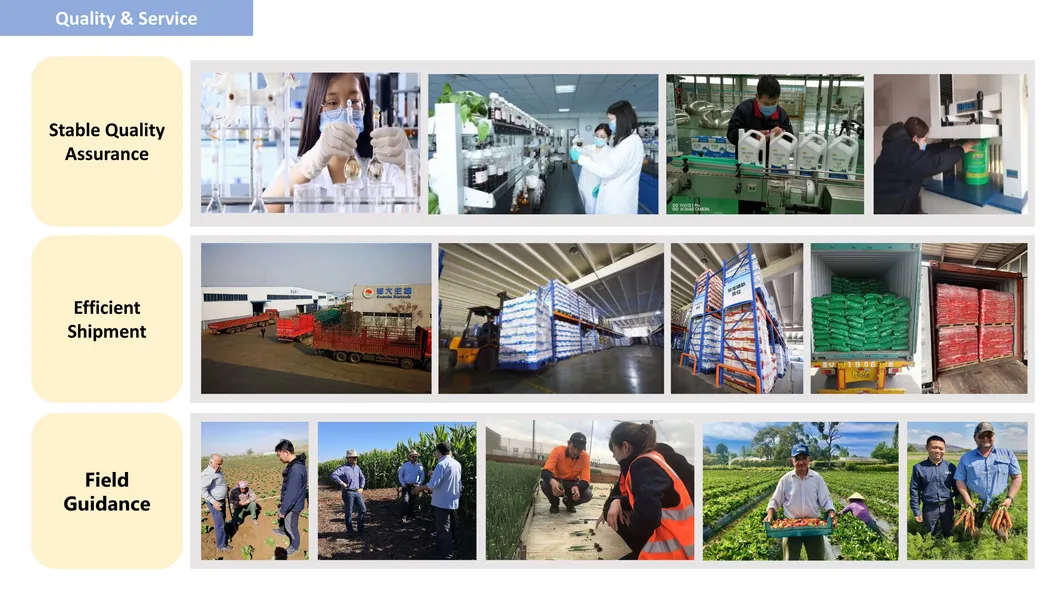 Root Promoter Root Organic Fertilizer