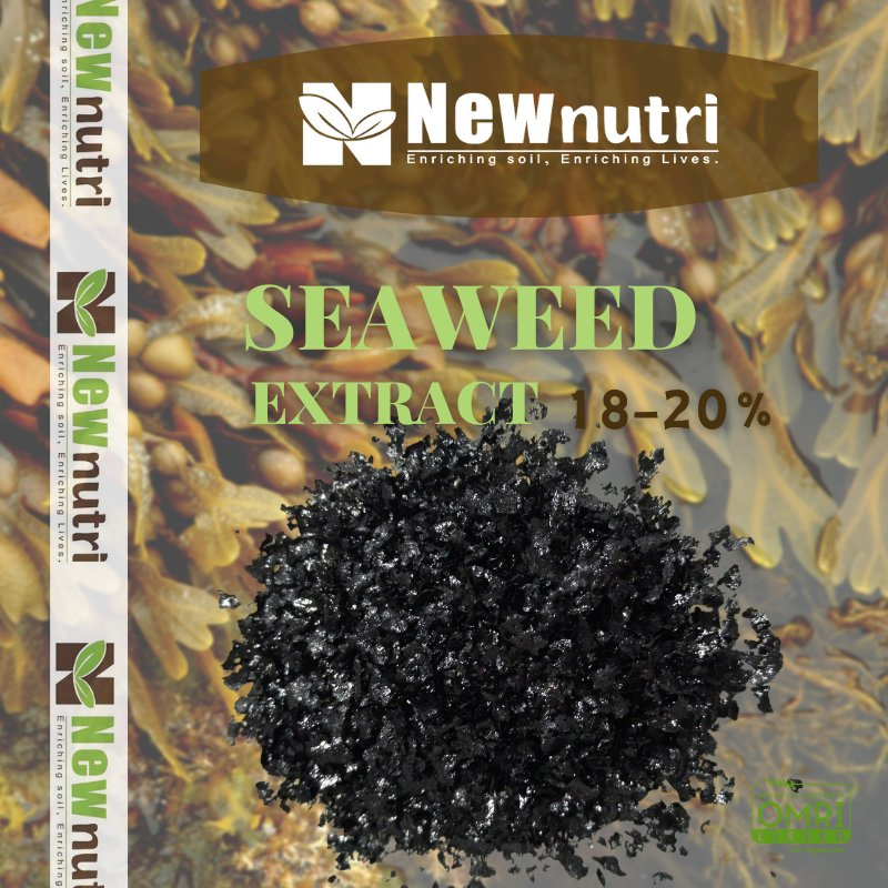 High-Purity Seaweed Extract Fertilizer for Crop Growth