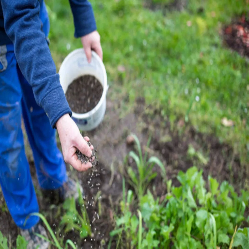 Organic Fertilizer