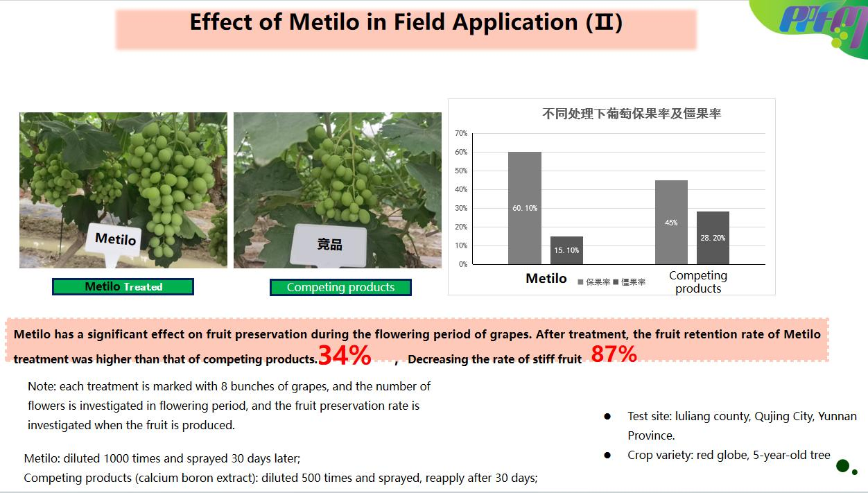 Nitrogen Fixing Bacteria Methylobacterium Liquid Foliar Fertilizer for Plant and Vegetable Biostimulant Growth Stimulant