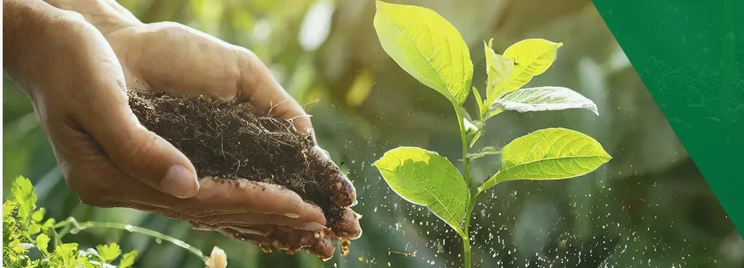 Humic Acid Liquid Fertilizer