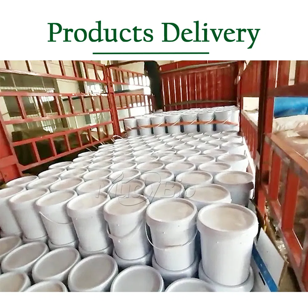 Seaweed Fertilizer Ascophyllum Nodosum Extract Algae Biositimulant Organic Liquid Fertilizer for Agriculture