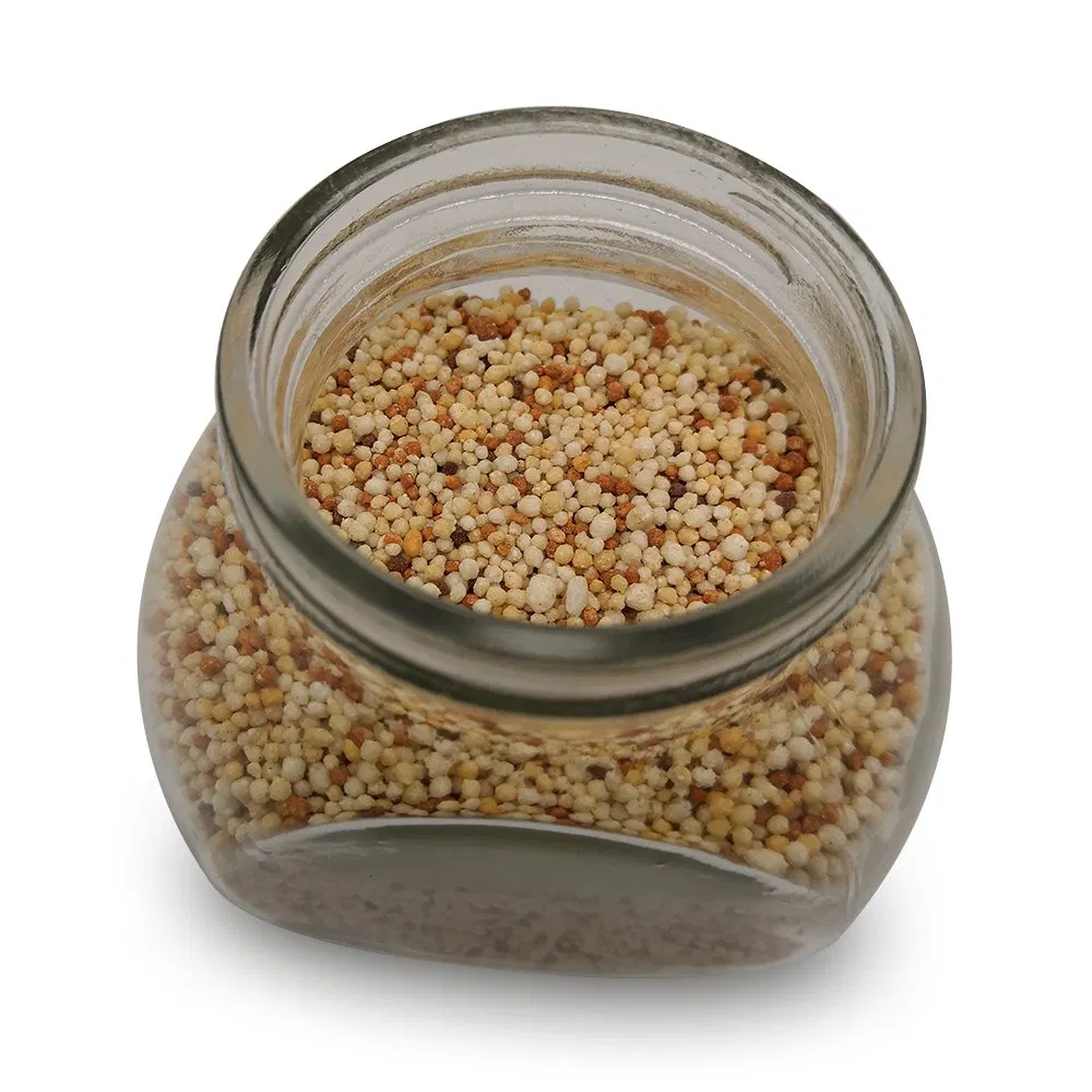 Lawn and Turf Slow Release Compound Fertilizer NPK8-12-18