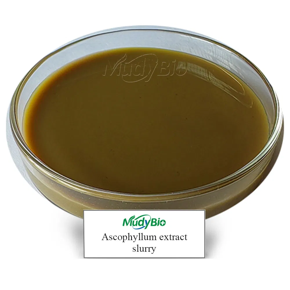 Seaweed Fertilizer Ascophyllum Nodosum Extract Algae Biositimulant Organic Liquid Fertilizer for Agriculture