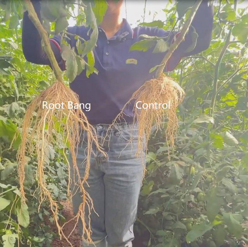 Root Fertilizer, Root Promoter and Stimulator