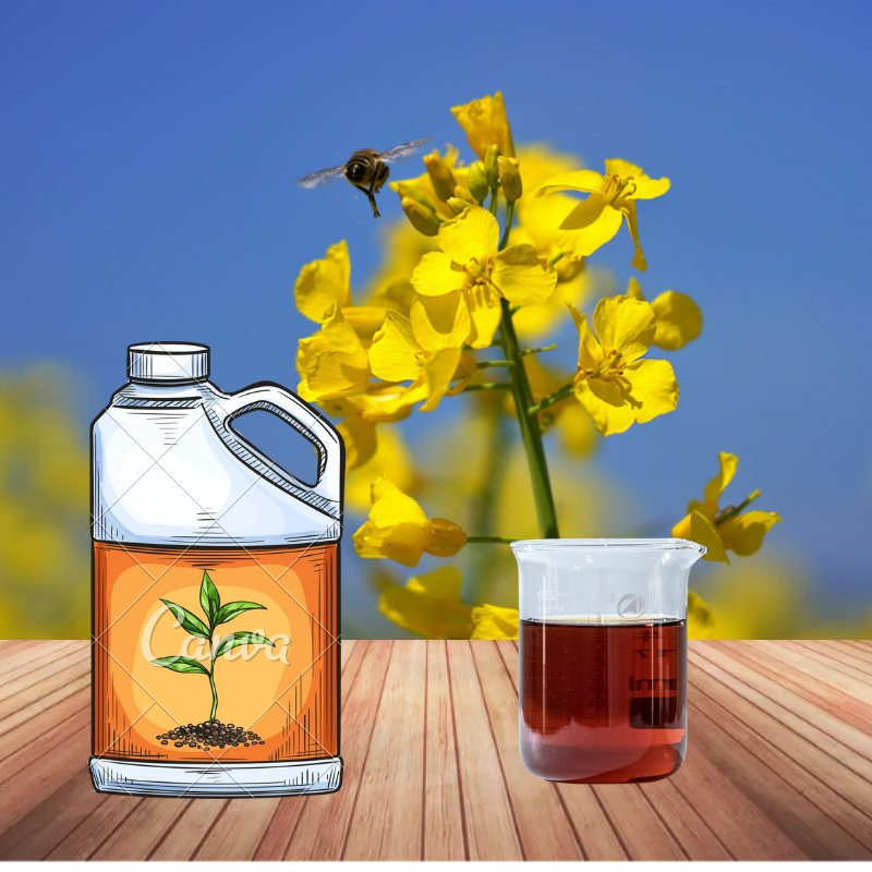 Omri Listed Enzymatic Hydrolysis Amino Acid Liquid 50% Amino Acid Fertilizer