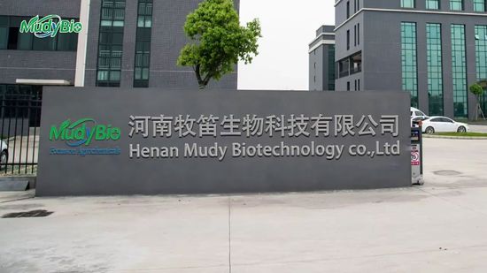 Product Video Poster