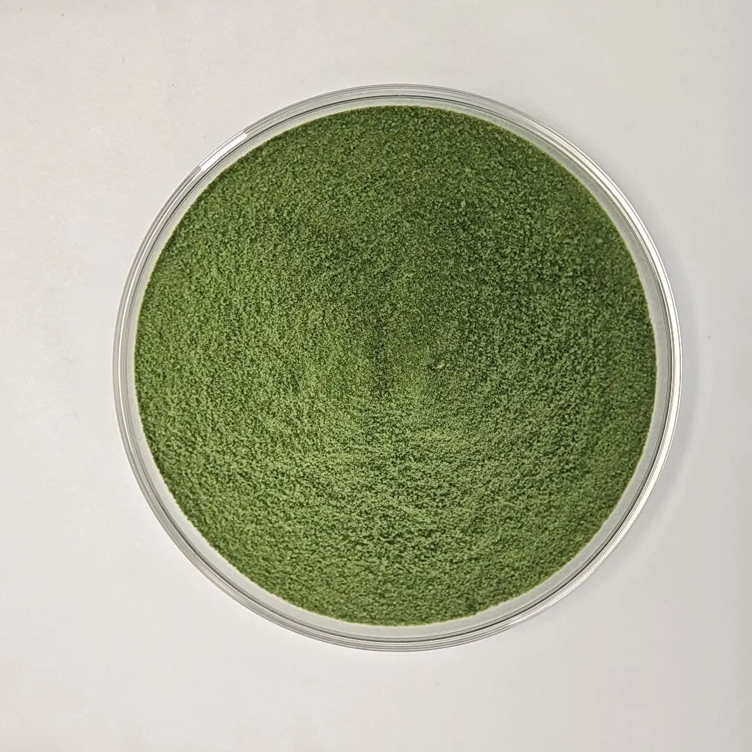 OEM Organic Seaweed Extract Water Soluble Fertilizer with NPK Agriculture