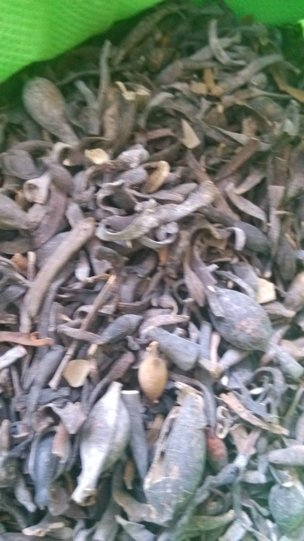 Soil Amendment Liquid Organic Fertilizer Soluble Seaweed Fertilizer for Agriculture