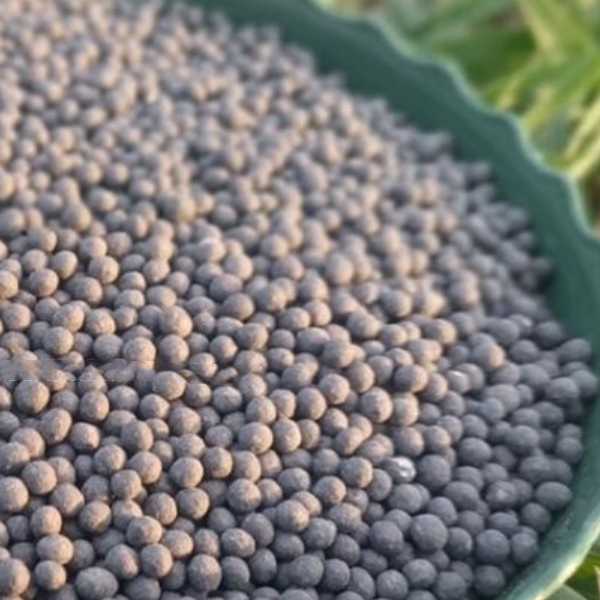 Nitrate Sop-Based NPK Compound Fertilizer – Fully Water-Soluble for Plant