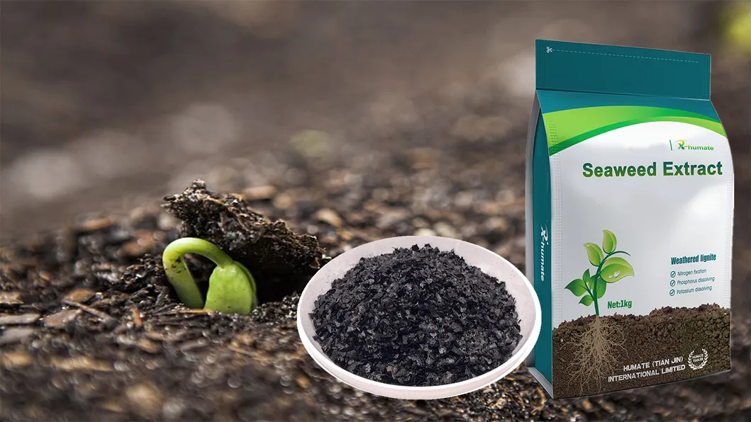 Seaweed Extract Detail