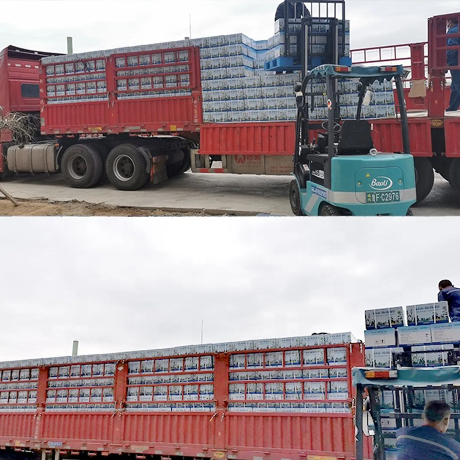 CHICO-NPK 10-55-5 High Phosphorus Type Trace Elements Zn Mg Compound Powder Soluble Fertilizer