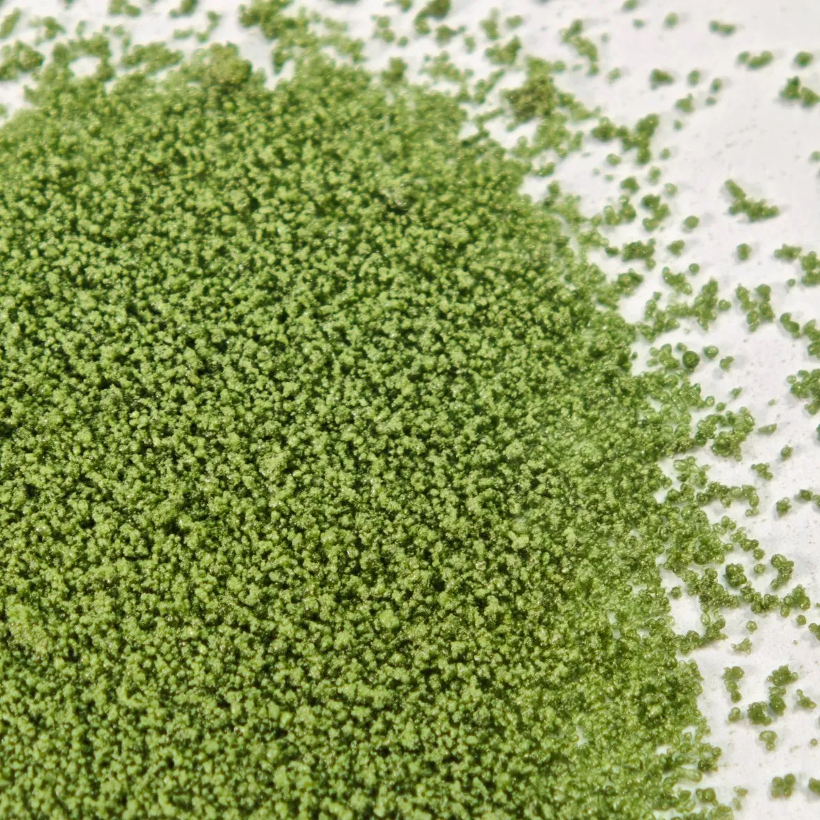 Factory Organic Green Natural Seaweed Extract Fertilizer with NPK for Foliar Spray