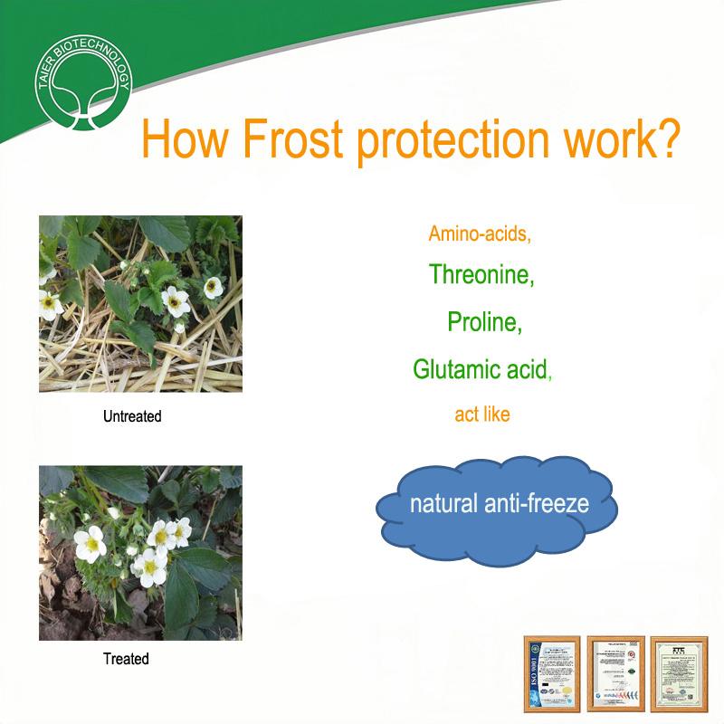 Amino Acid Powder with Organic Iron for Industrial Formulation Natural Origin Biostimulant Fertilizer MOQ 100kg Organic Fertilizer