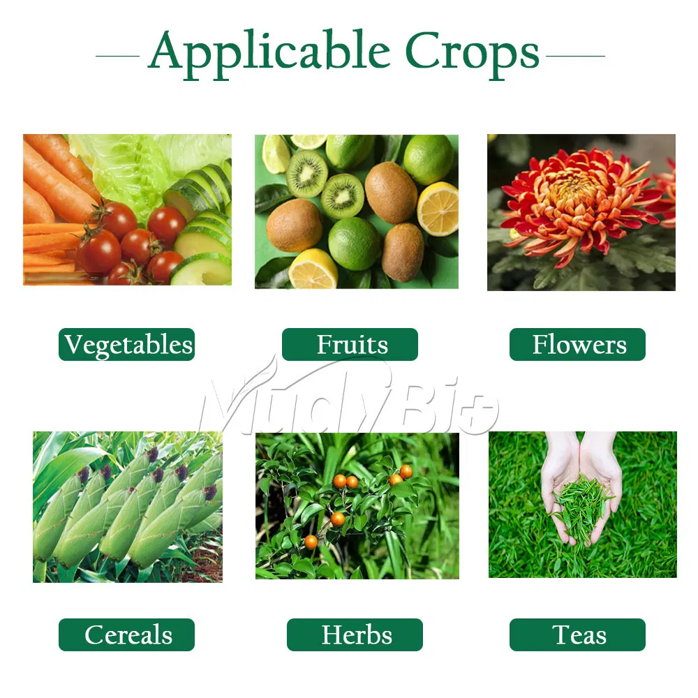 Seaweed Fertilizer Ascophyllum Nodosum Extract Algae Biositimulant Organic Liquid Fertilizer for Agriculture