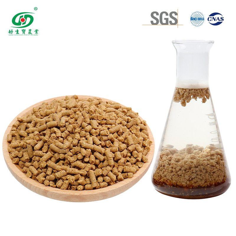Advanced Technology Humic Acid NPK Soil Conditioner Organic Granular Fertilizer