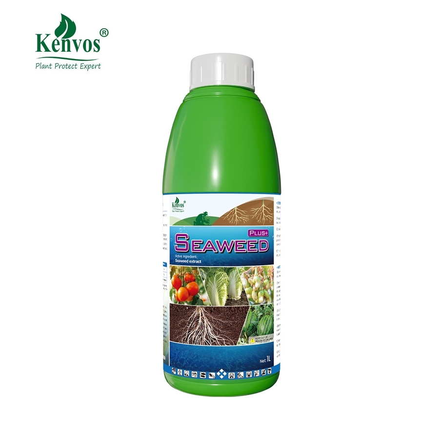 Kenvos Liquid Seaweed Extract Fertilizer for Promotes Root Growth