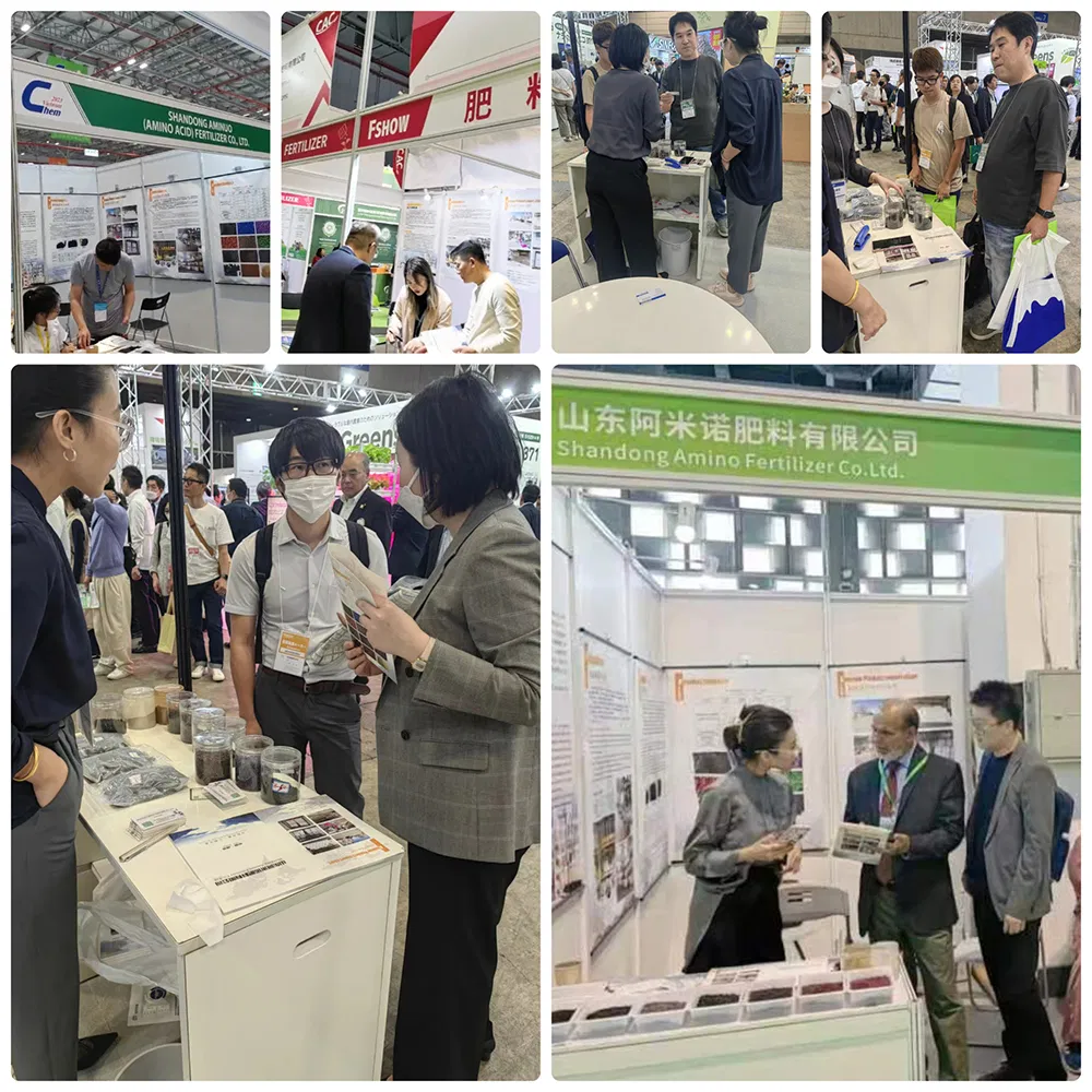 Company Exhibition