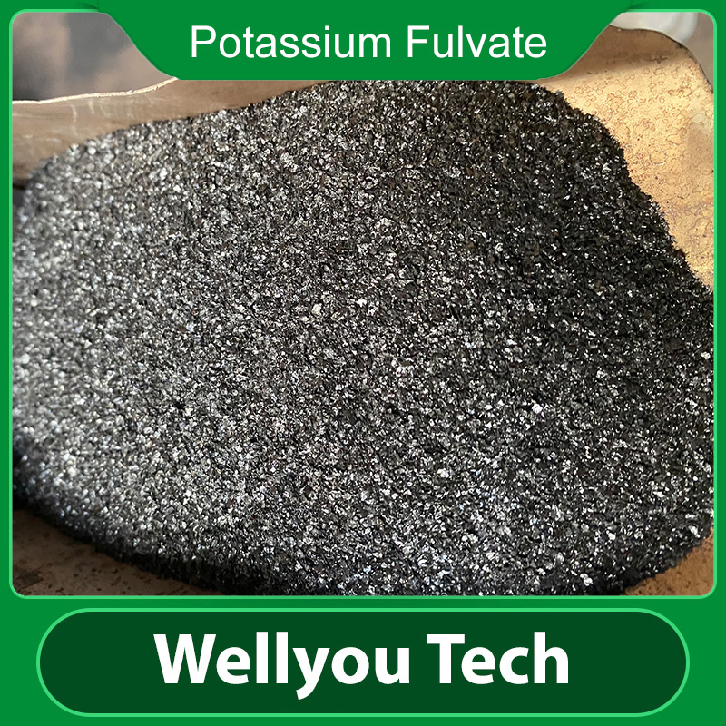 Humic Acid Potassium Fulvate Water Soluble Organic Fertilizer From Wellyou Tech