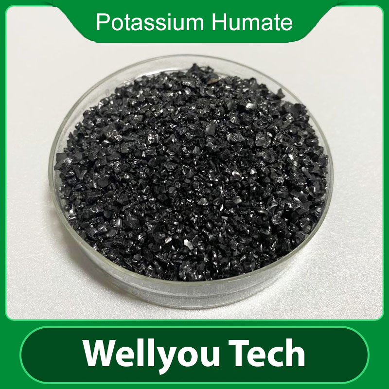 Leonardite Source Humic Acid/ Potassium Humate Organic Fertilizer Wellyou Tech