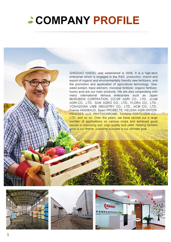 Product Exhibition 1