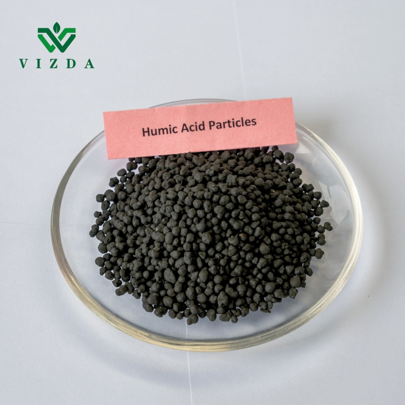 100% Soluble Humic Acid Fertilizer