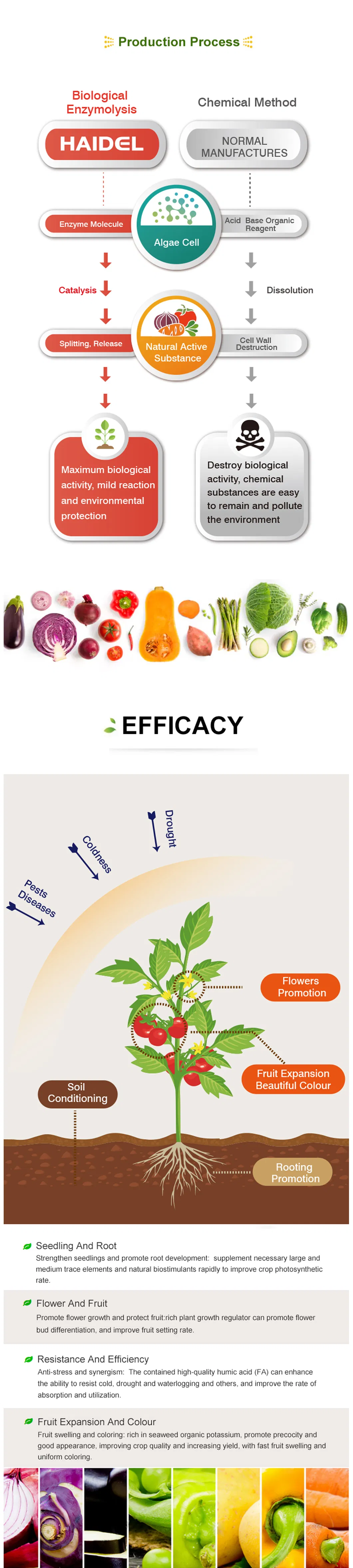 Fertilizer Application