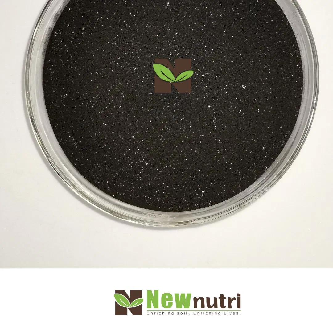 Bio Humic Acid Organic Fertilizer Potassium Humate Raw Material for Sustainable Agriculture